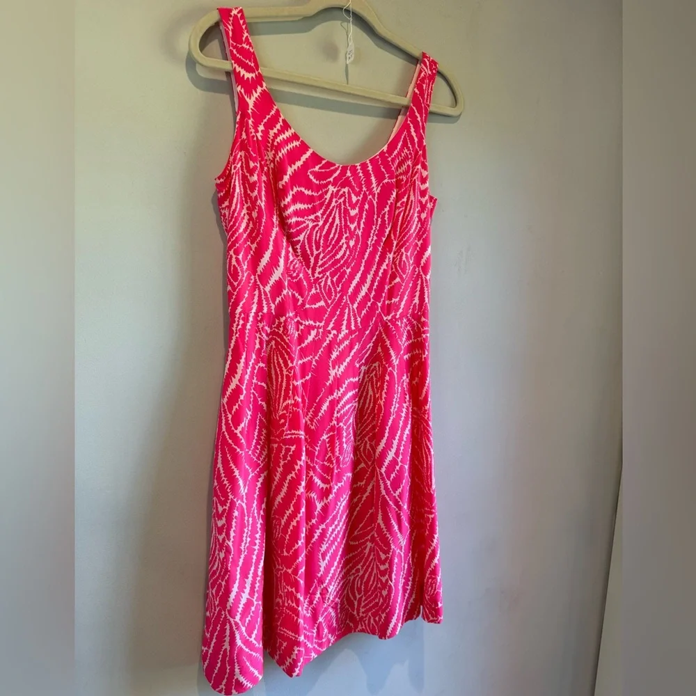 Lilly Pulitzer Dress - Picture 4 of 9